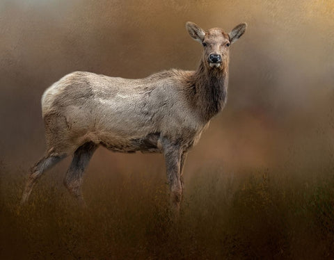 Quiet Elegance White Modern Wood Framed Art Print with Double Matting by Parker, Kelley