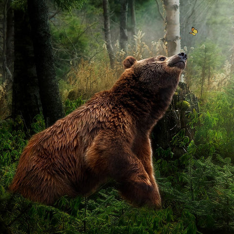 Curiosity Black Ornate Wood Framed Art Print with Double Matting by Parker, Kelley