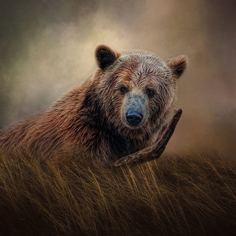 Mischief   Black Ornate Wood Framed Art Print with Double Matting by Parker, Kelley