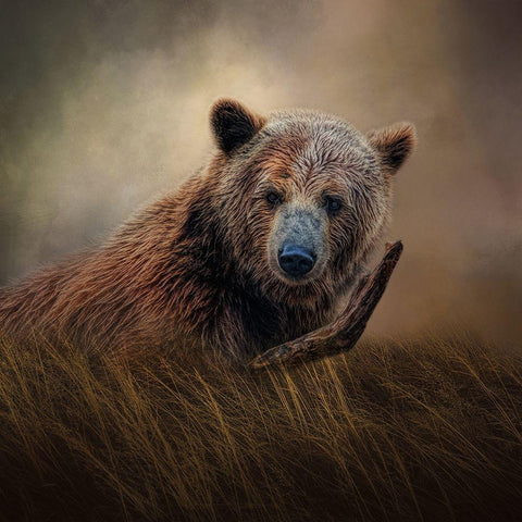 Mischief   Black Modern Wood Framed Art Print by Parker, Kelley