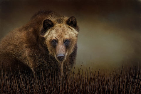 Gentle Soul Black Ornate Wood Framed Art Print with Double Matting by Parker, Kelley