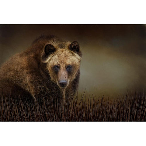 Gentle Soul Black Modern Wood Framed Art Print with Double Matting by Parker, Kelley