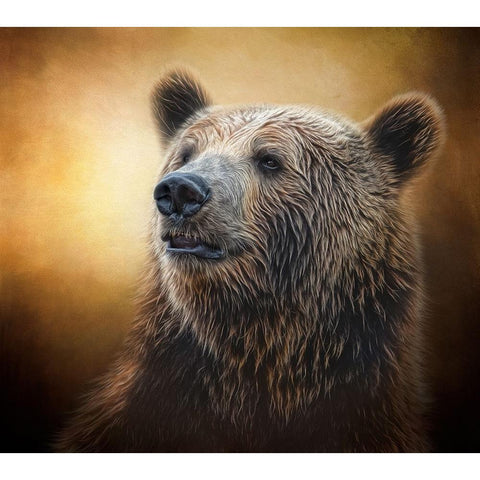 Golden Glow Grizzly Gold Ornate Wood Framed Art Print with Double Matting by Parker, Kelley