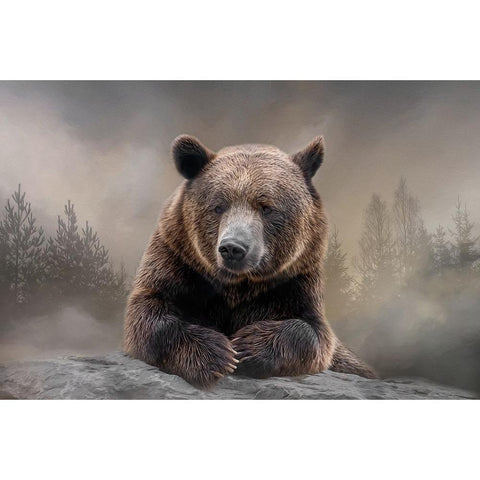 Grizzly Summit White Modern Wood Framed Art Print by Parker, Kelley