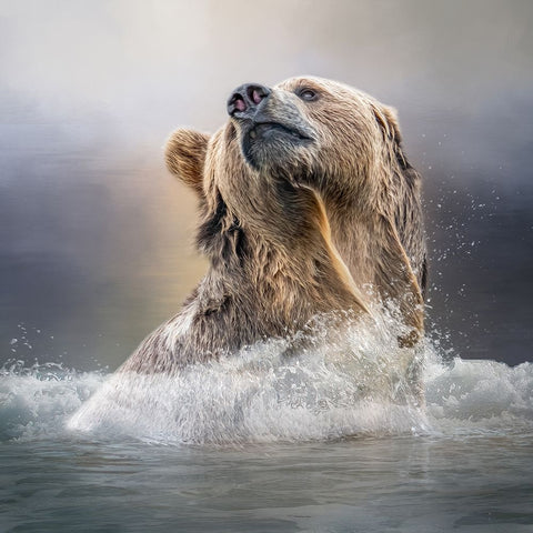 Grizzly Waters Black Ornate Wood Framed Art Print with Double Matting by Parker, Kelley