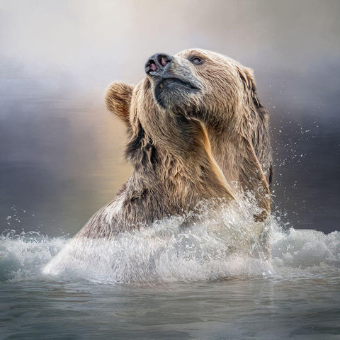 Grizzly Waters White Modern Wood Framed Art Print by Parker, Kelley