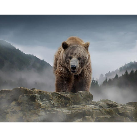 Over the Mountain Gold Ornate Wood Framed Art Print with Double Matting by Parker, Kelley