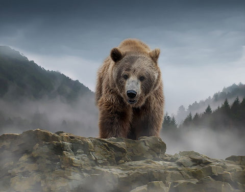 Over the Mountain Black Ornate Wood Framed Art Print with Double Matting by Parker, Kelley