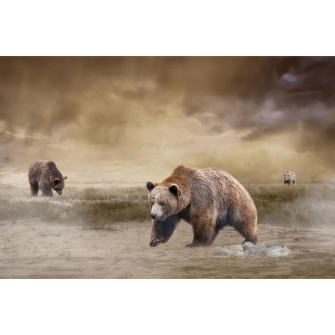 Land of the Grizzly Black Modern Wood Framed Art Print with Double Matting by Parker, Kelley