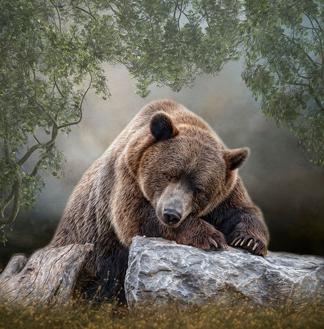 Quiet Contemplation Black Ornate Wood Framed Art Print with Double Matting by Parker, Kelley