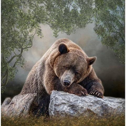 Quiet Contemplation White Modern Wood Framed Art Print by Parker, Kelley