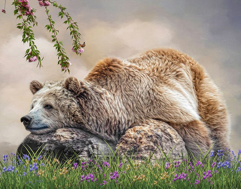 Zen Moment Black Ornate Wood Framed Art Print with Double Matting by Parker, Kelley