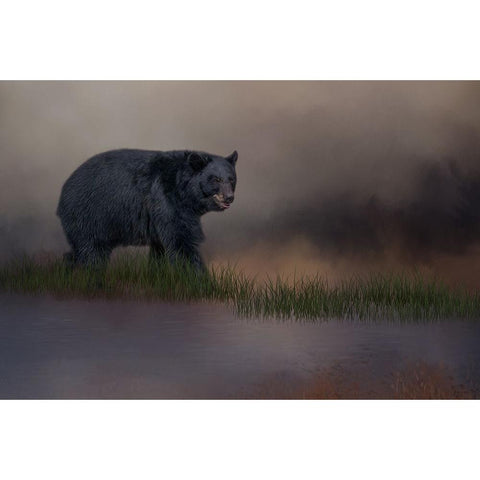 Waters Edge Black Modern Wood Framed Art Print with Double Matting by Parker, Kelley