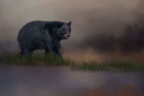 Waters Edge Black Ornate Wood Framed Art Print with Double Matting by Parker, Kelley