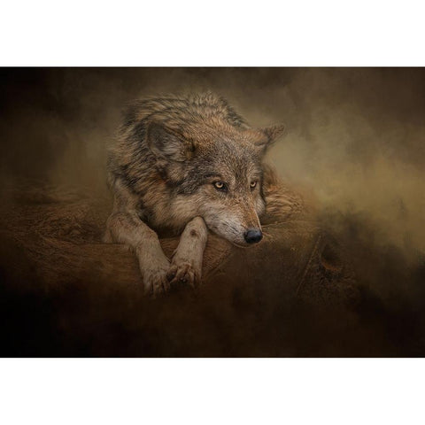 At Rest Black Modern Wood Framed Art Print by Parker, Kelley