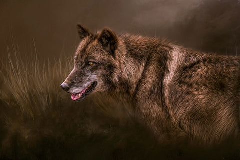 Danger Lurking White Modern Wood Framed Art Print with Double Matting by Parker, Kelley