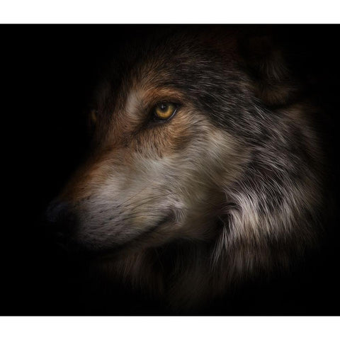 Where Light and Dark Meet Black Modern Wood Framed Art Print with Double Matting by Parker, Kelley