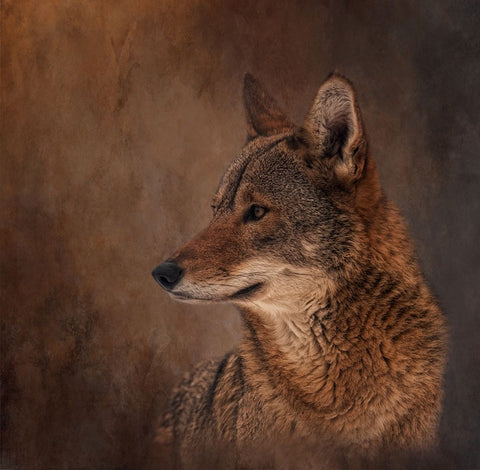 Line of Sight White Modern Wood Framed Art Print with Double Matting by Parker, Kelley