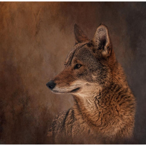 Line of Sight Gold Ornate Wood Framed Art Print with Double Matting by Parker, Kelley