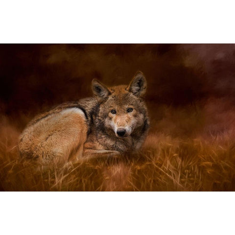 Safe Haven White Modern Wood Framed Art Print by Parker, Kelley