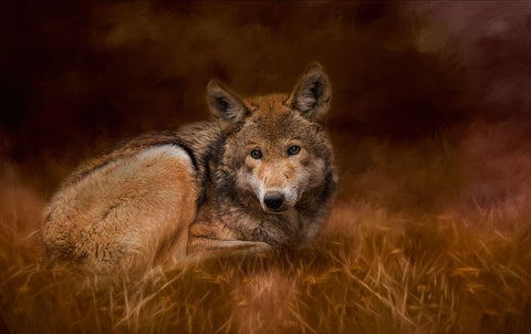 Safe Haven White Modern Wood Framed Art Print with Double Matting by Parker, Kelley