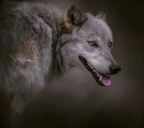 Eye on the Prize White Modern Wood Framed Art Print with Double Matting by Parker, Kelley