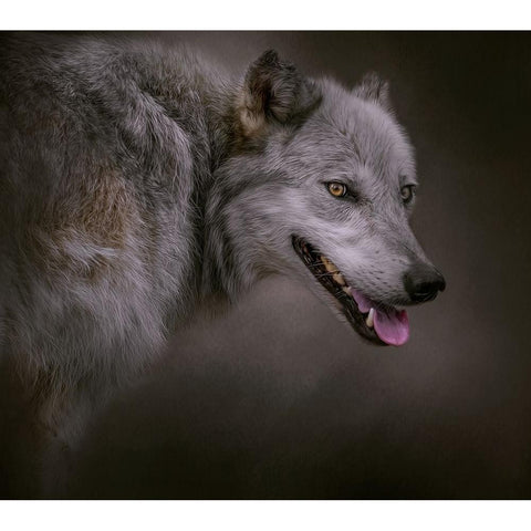 Eye on the Prize White Modern Wood Framed Art Print by Parker, Kelley