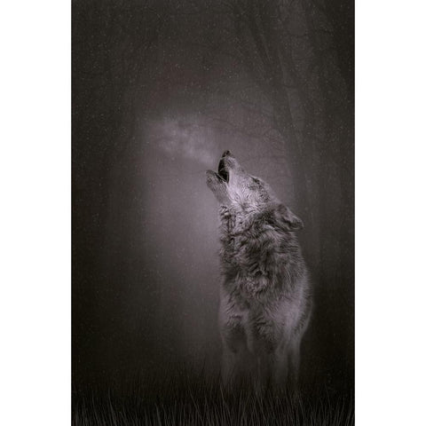 Every Breath I Take Black Modern Wood Framed Art Print by Parker, Kelley