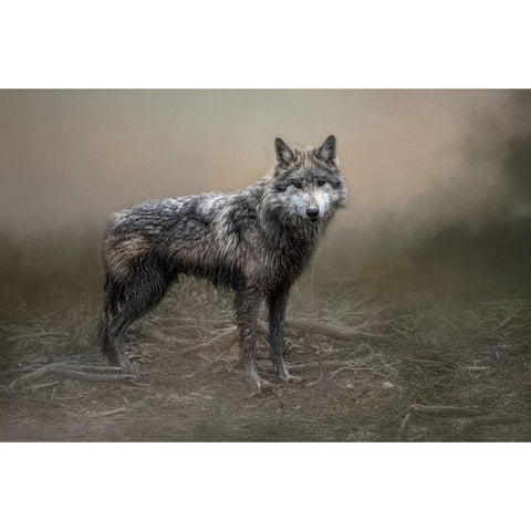 Enduring Spirit Gold Ornate Wood Framed Art Print with Double Matting by Parker, Kelley