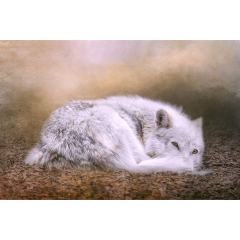 For Your Eyes Only White Modern Wood Framed Art Print by Parker, Kelley