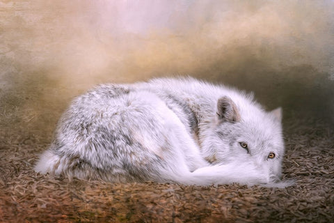 For Your Eyes Only White Modern Wood Framed Art Print with Double Matting by Parker, Kelley