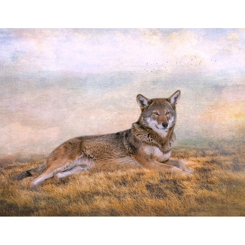 Distant Gaze Black Modern Wood Framed Art Print with Double Matting by Parker, Kelley