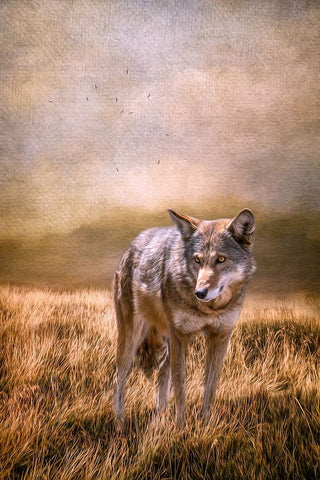 On Patrol Black Ornate Wood Framed Art Print with Double Matting by Parker, Kelley