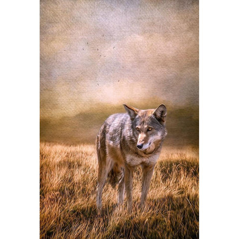 On Patrol Black Modern Wood Framed Art Print by Parker, Kelley