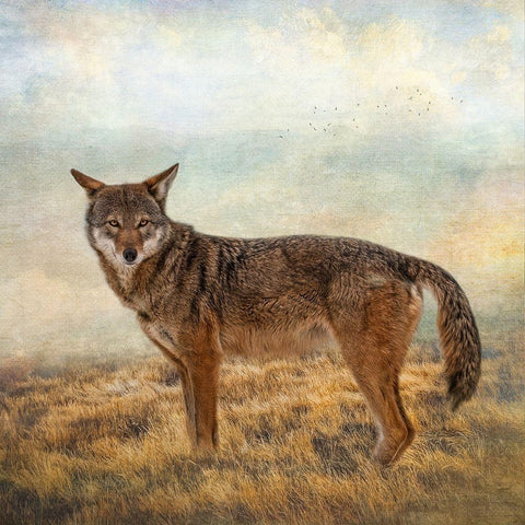 Interested Gaze Gold Ornate Wood Framed Art Print with Double Matting by Parker, Kelley