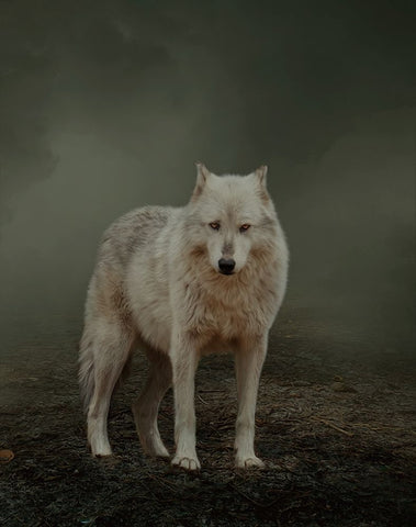 Spirit Guide Black Ornate Wood Framed Art Print with Double Matting by Parker, Kelley