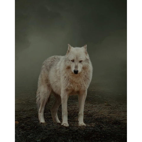 Spirit Guide White Modern Wood Framed Art Print by Parker, Kelley