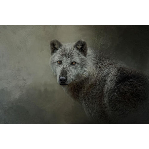 The Last Look Back White Modern Wood Framed Art Print by Parker, Kelley