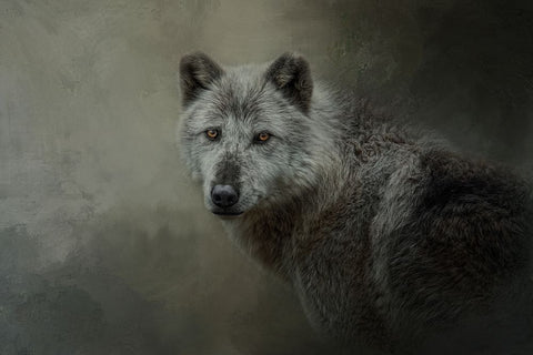 The Last Look Back White Modern Wood Framed Art Print with Double Matting by Parker, Kelley