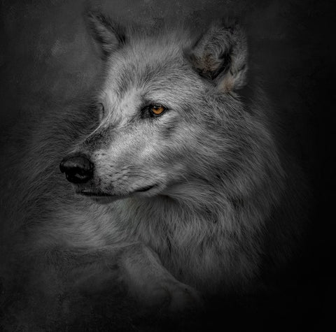 Lonely Soul White Modern Wood Framed Art Print with Double Matting by Parker, Kelley