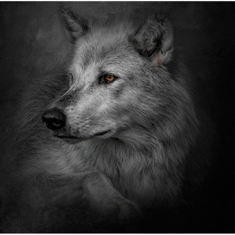 Lonely Soul White Modern Wood Framed Art Print by Parker, Kelley