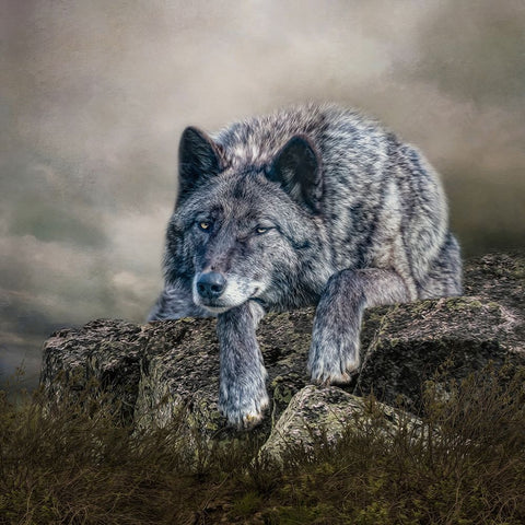 Rocky Perch White Modern Wood Framed Art Print with Double Matting by Parker, Kelley