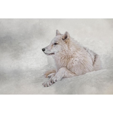 Snow Day White Modern Wood Framed Art Print by Parker, Kelley