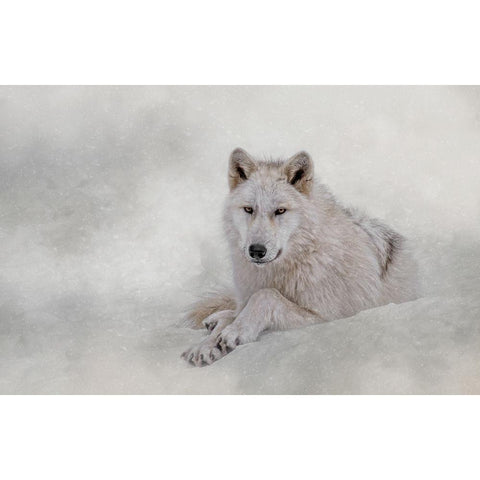 Winter Coat White Modern Wood Framed Art Print by Parker, Kelley