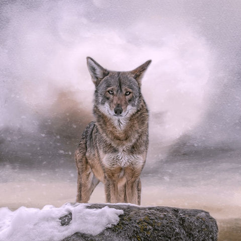 Welcoming Winter White Modern Wood Framed Art Print with Double Matting by Parker, Kelley