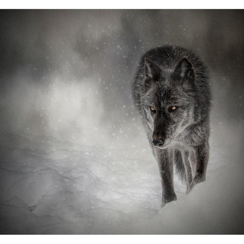 The Lone Journey Black Modern Wood Framed Art Print by Parker, Kelley