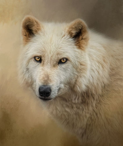 Mesmerize Black Ornate Wood Framed Art Print with Double Matting by Parker, Kelley