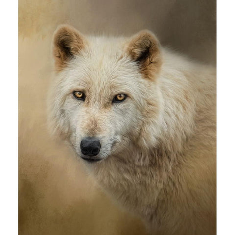 Mesmerize White Modern Wood Framed Art Print by Parker, Kelley