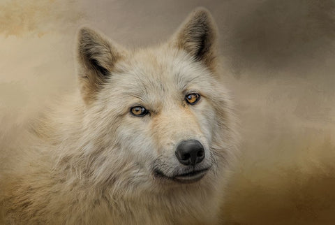 Windows to the Soul White Modern Wood Framed Art Print with Double Matting by Parker, Kelley