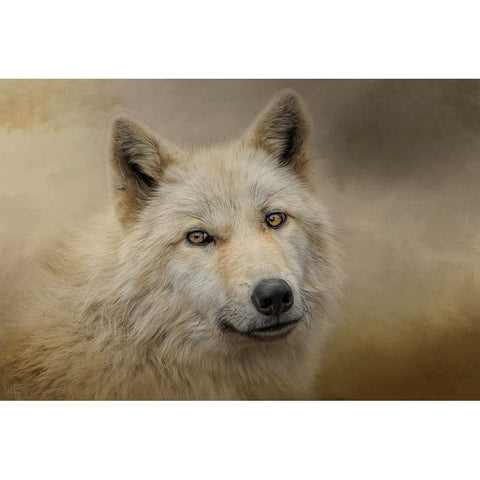 Windows to the Soul Gold Ornate Wood Framed Art Print with Double Matting by Parker, Kelley